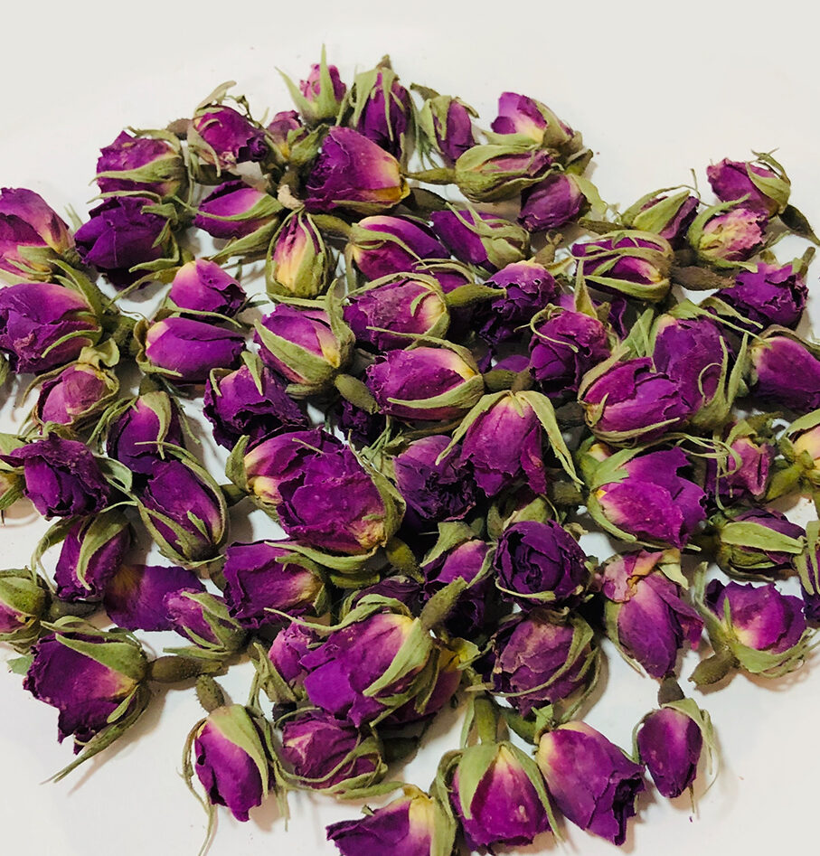 Rose Bud